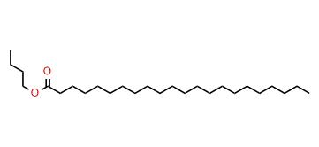 Butyl docosanoate